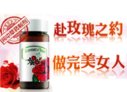 �����B(y��ng)���Ļ�������̽��