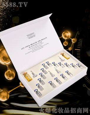 �V������������Ƽ����޹�˾���C��ѩ�w-���Լ������L�����ޏ�(f��)�M��