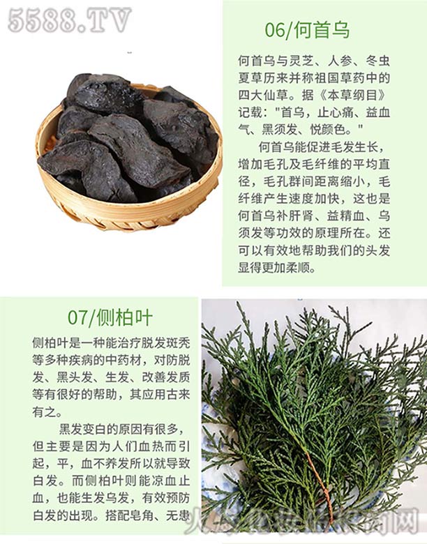 Ȫ���ֿ��t(y��)ˎ���޹�˾���l(f��)ѾѾ�ݱ�ֲ�����ϴ�l(f��)�飨���מ�����(c��)���~��