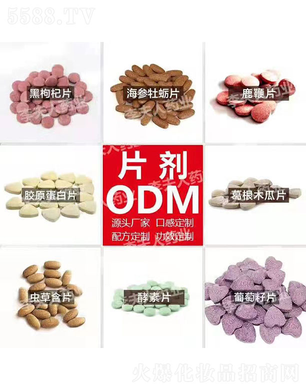 �V�ݘI(y��)�\����Ƽ����޹�˾��Ƭ��ODM