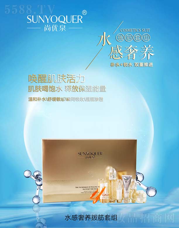 �V�݌�������Ƽ����޹�˾���Ѓ�(y��u)Ȫˮ�����B(y��ng)�ܽ��׽M