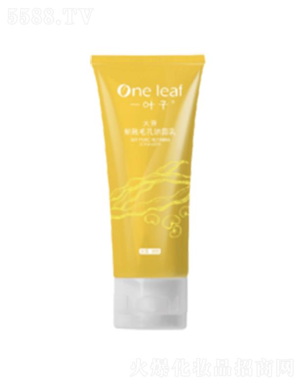 �Ϻ��������yƷ�ɷ����޹�˾��һ�~�Ӵ󶹼���ë�ם�����