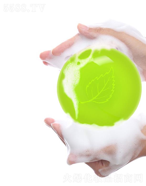 �V�ݼ���������Ƽ����޹�˾��ľ���~ֲ�̓����G�� 100g