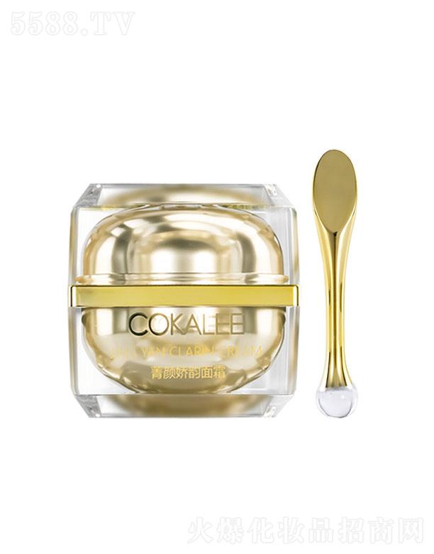 �V�|����������Ƽ����޹�˾���������ɿ���ݼ�퍻؏���˪