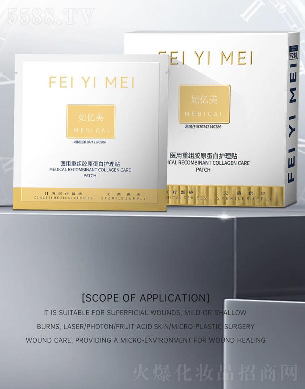 �V���а��ƅ^(q��)ʯ����ʢ����Q�꣨���w���̑��������|���t(y��)���ؽM�zԭ�����o���N