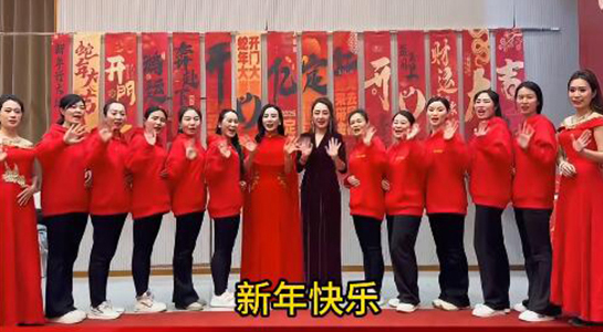 蛇年好運(yùn)至，幸福滿人間！飛斯達(dá)祝您百事從歡，一路向陽！