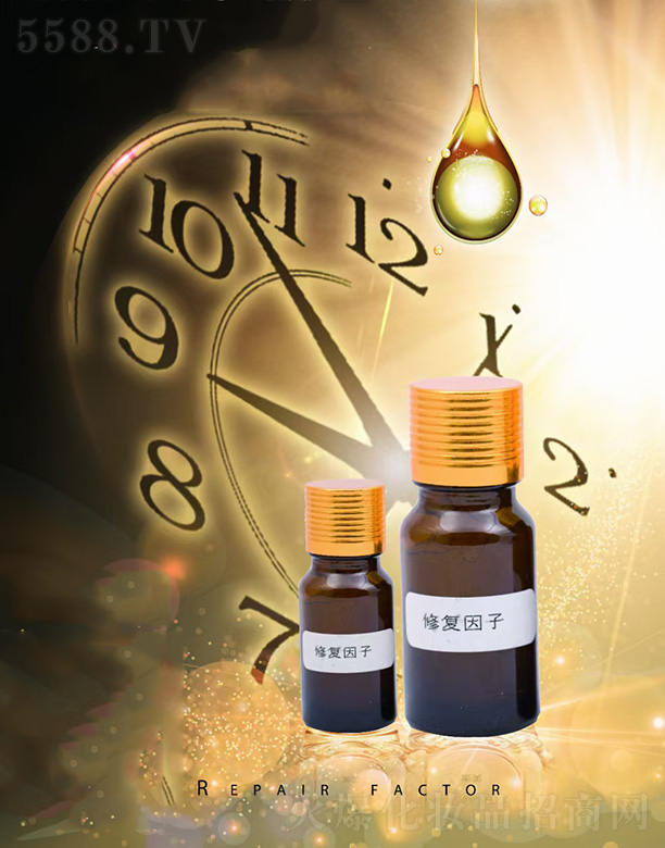 ��֥���ޏ�����