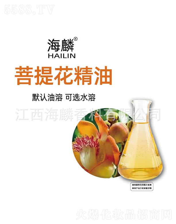 �������Ứ����