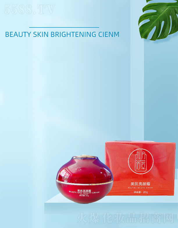 ����������˪