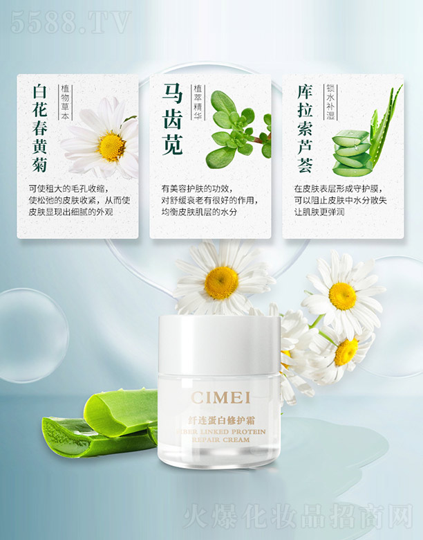 �w�B�������o˪