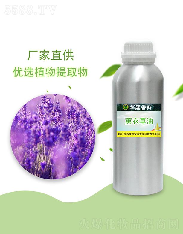 �A¡޹�²���