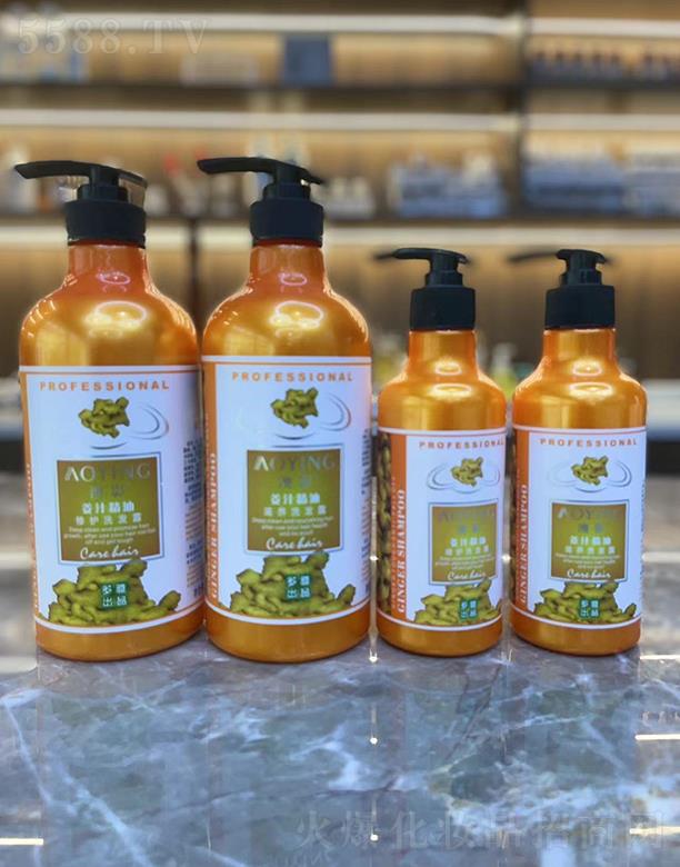 ��Ӱ��֭����ϵ��