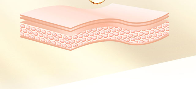 ��ȶ�Ч���o(h��)�澏���AҺ