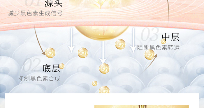 ������������o��˪